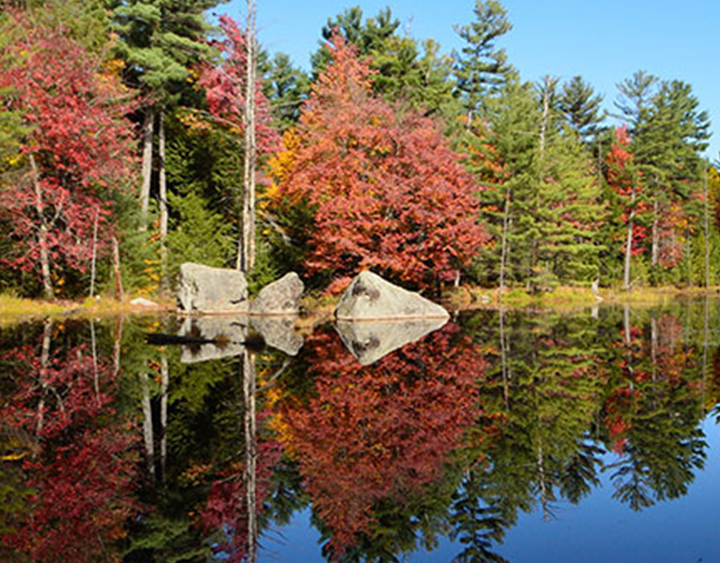 Muskoka Hardwood Refinishing and Installation